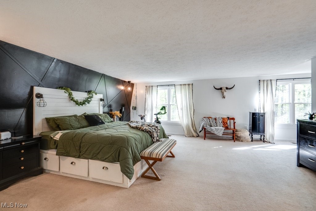 12530 Nelson Parkman Road, Garrettsville, Ohio image 26