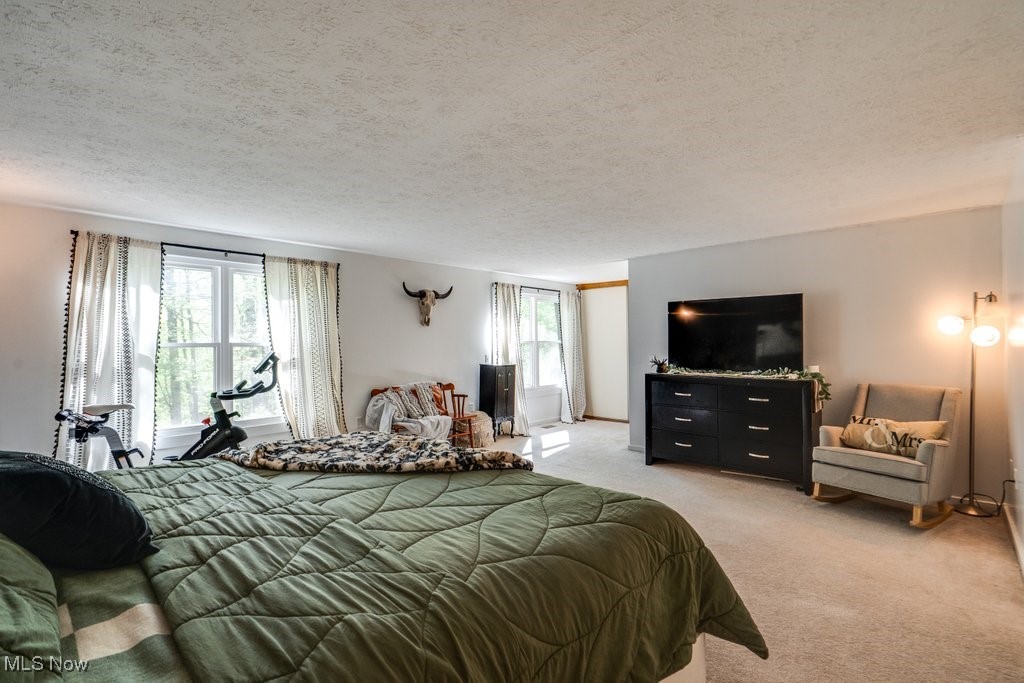 12530 Nelson Parkman Road, Garrettsville, Ohio image 29