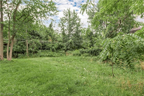 Photo of 871 E 131 Street, Cleveland, OH 44108 (MLS # 5239766)