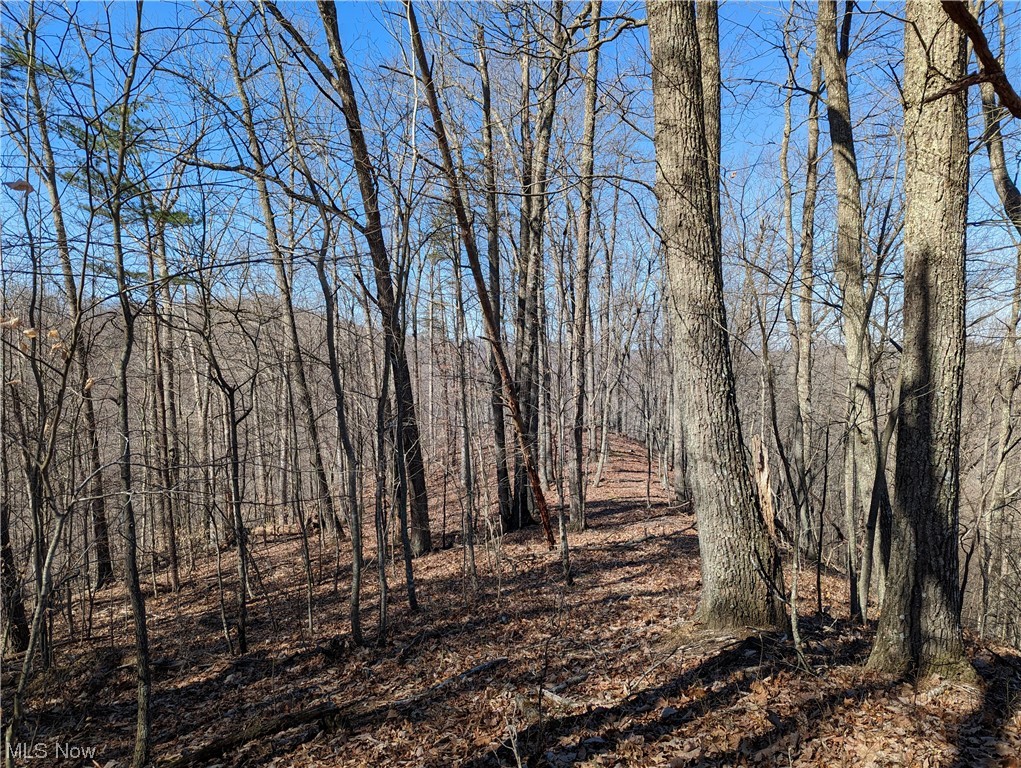 Need a nice piece of land for hunting!!! Or maybe you need a hideout. This property is secluded and very private. Property has a seasonal creek for an alternate water source. Property has a couple good locations for building a primitive off grid cabin. An old jeep trail exists on the property which makes it great for access to other areas of your land. With 73 +/- acres of wild and wonderful the possibilities are endless. Did I mention how low the taxes are!!! And no restrictions or
HOA fees of any kind. How about that for a little freedom.