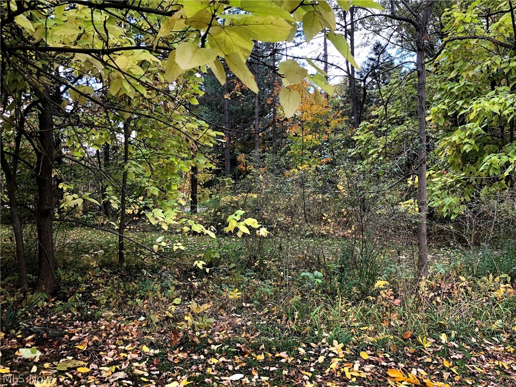 Chardon - Residential Income