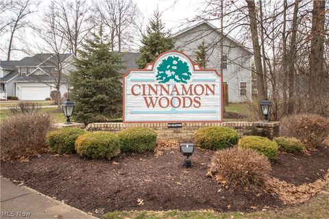 Tiny photo for 30250 Ginger Lane #43B, North Olmsted, OH 44070 (MLS # 5187332)