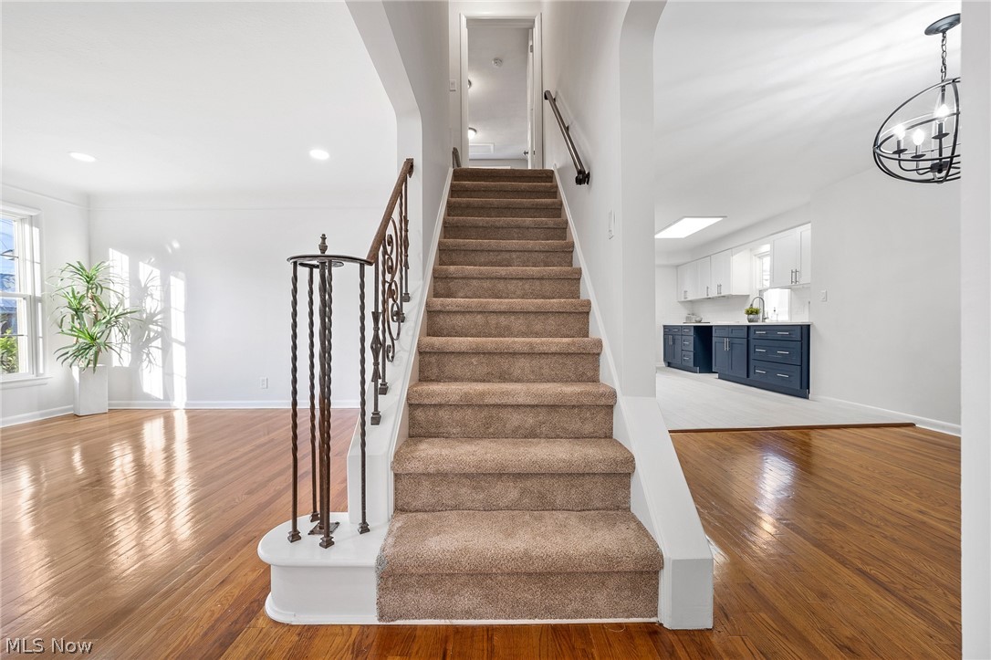 Harry Fagins Park Lane - Residential