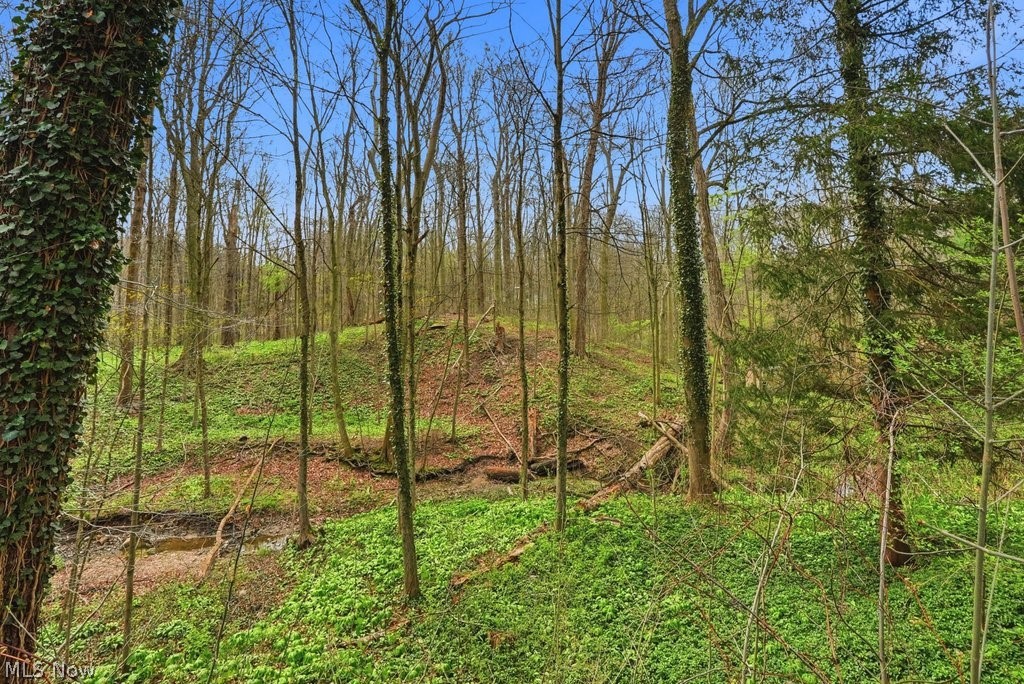 Deep Wood Colony 03 - Residential