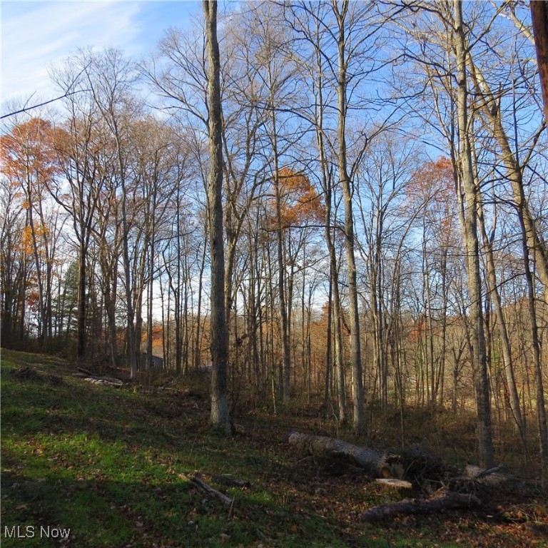 Hickory Grove Allotment - Land