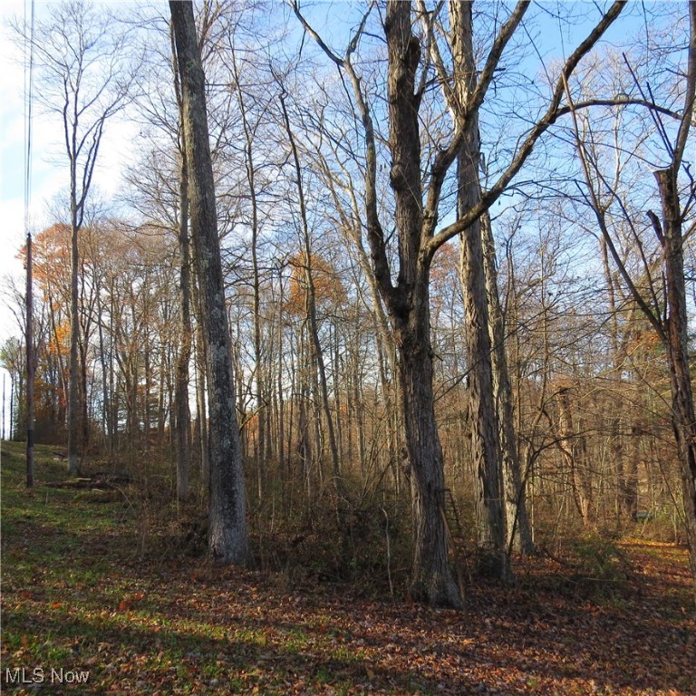 Hickory Grove Allotment - Land