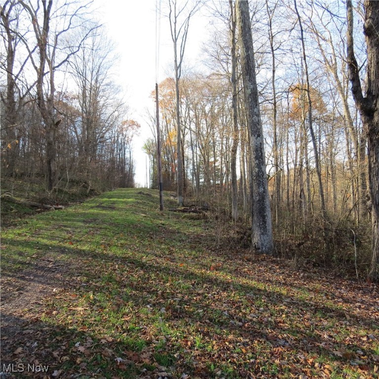 Hickory Grove Allotment - Land