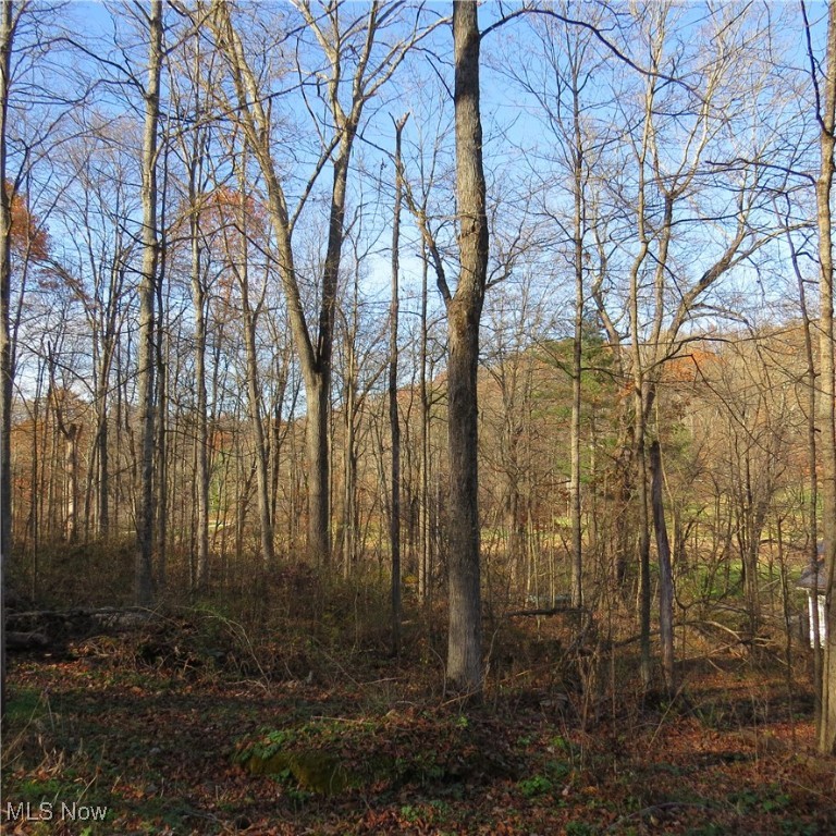 Hickory Grove Allotment - Land