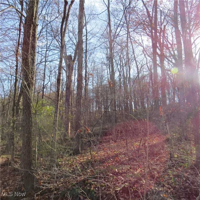 Hickory Grove Allotment - Land