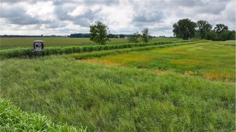 Tiny photo for 3835 County Road 147, Woodville, OH 43416 (MLS # 5239715)