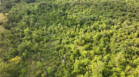 Tiny photo for 3835 County Road 147, Woodville, OH 43416 (MLS # 5239715)
