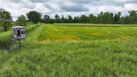 Tiny photo for 3835 County Road 147, Woodville, OH 43416 (MLS # 5239715)