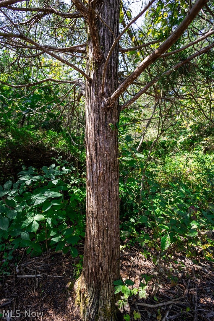 3835 County Road 147
