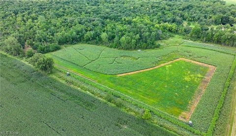 Tiny photo for 3835 County Road 147, Woodville, OH 43416 (MLS # 5239715)