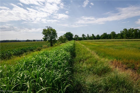Vacant Land For Sale - 3835 County Road 147<br/> Woodville, OH 43416