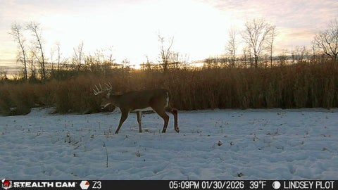 Tiny photo for 3835 County Road 147, Woodville, OH 43416 (MLS # 5239715)