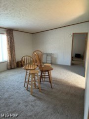 17607 Halleys Ridge Road, Pleasant City, Ohio image 12