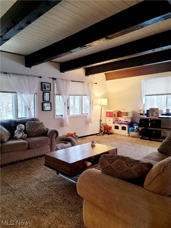 Aurora Shores - Residential