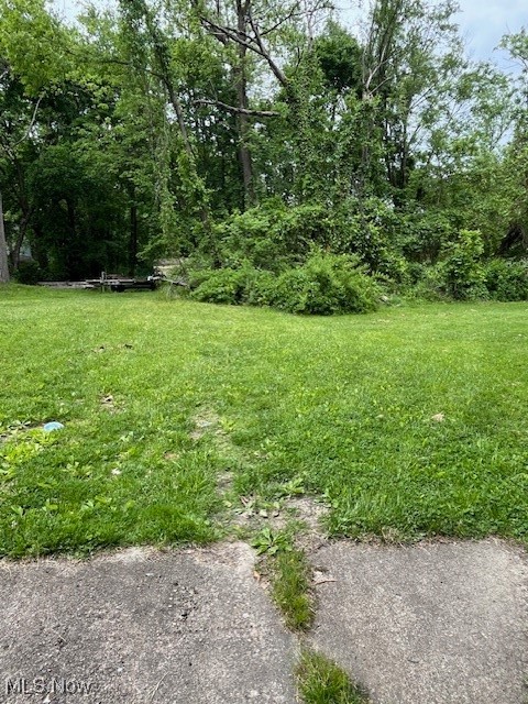 935 Baird Street, Akron, Ohio image 6
