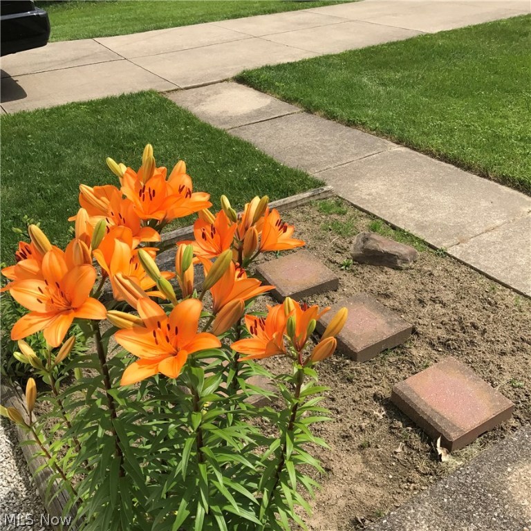 Gardner Heights - Residential