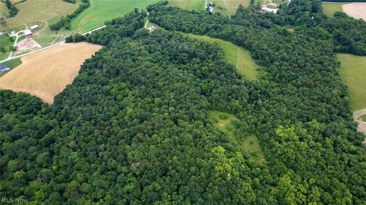 County Road 93, Fresno, Ohio image 12