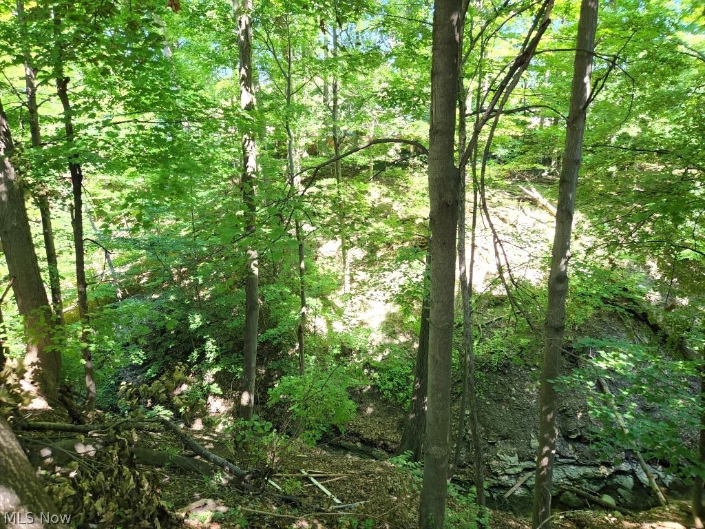 Noble Heights - Residential