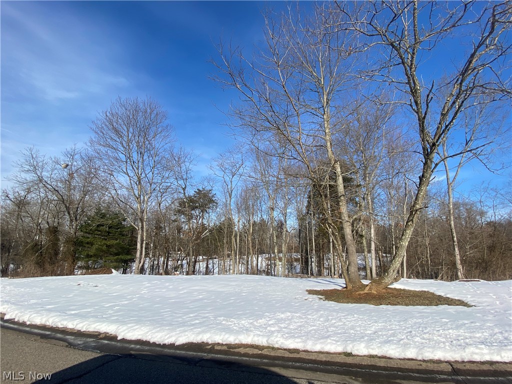 Beautiful residential building lot in a gorgeous subdivision! Deed restrictions available upon request. All utilities available.