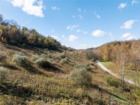 51345 LITTLE MCMAHON CREEK RD, SAINT CLAIRSVILLE, OH 43950 - Image ca7f1dd7f6cb1e73b115e4e08335ab24/1000905305