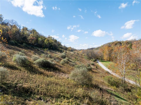 Vacant Land For Sale - 51345 Little Mcmahon Creek Road<br/> St Clairsville, OH 43950