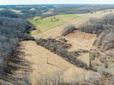 Vacant Land For Sale - Eckley Road<br/> Jewett, OH 43986