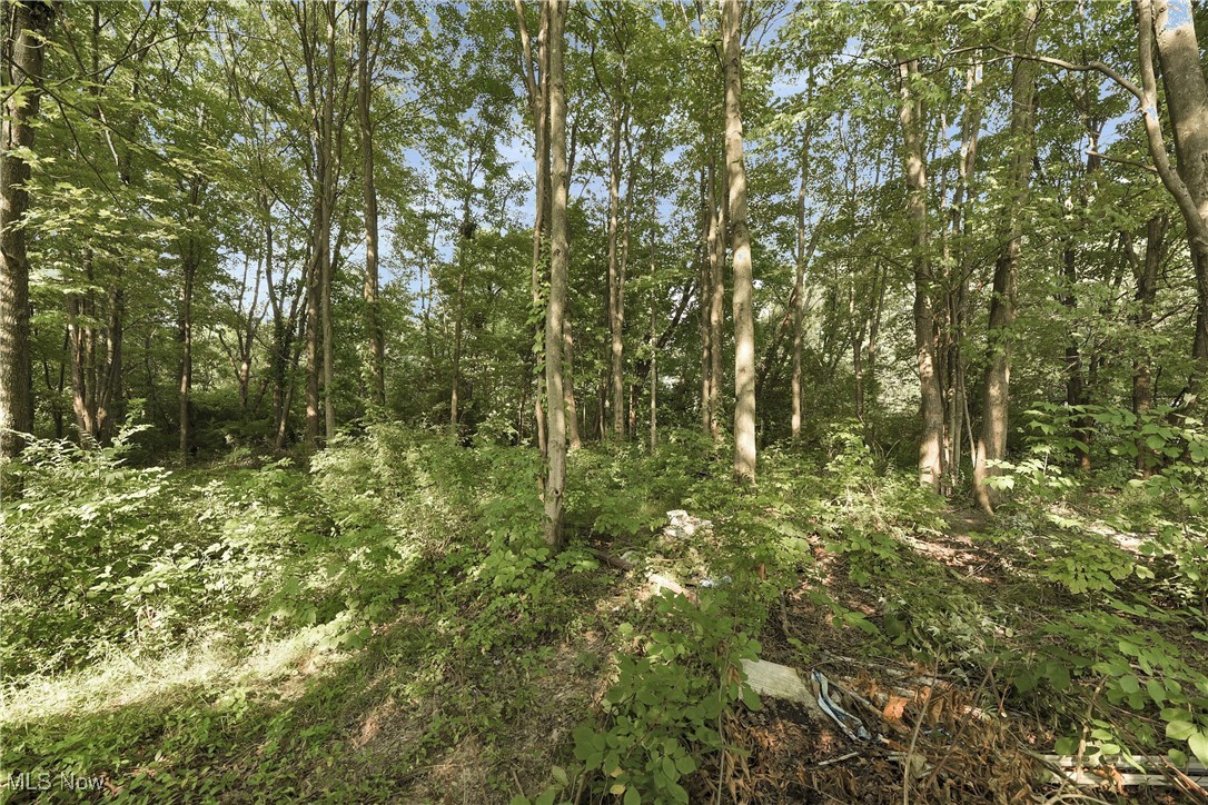 Claudia Land Cos Resub - Residential