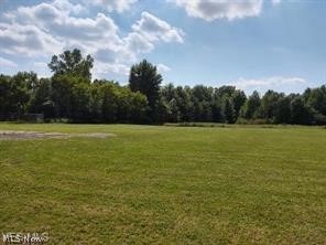 Grafton, Ohio 44044, United States, ,Commercial,Active,75625