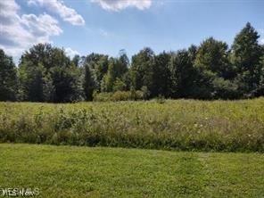 Grafton, Ohio 44044, United States, ,Commercial,Active,75625