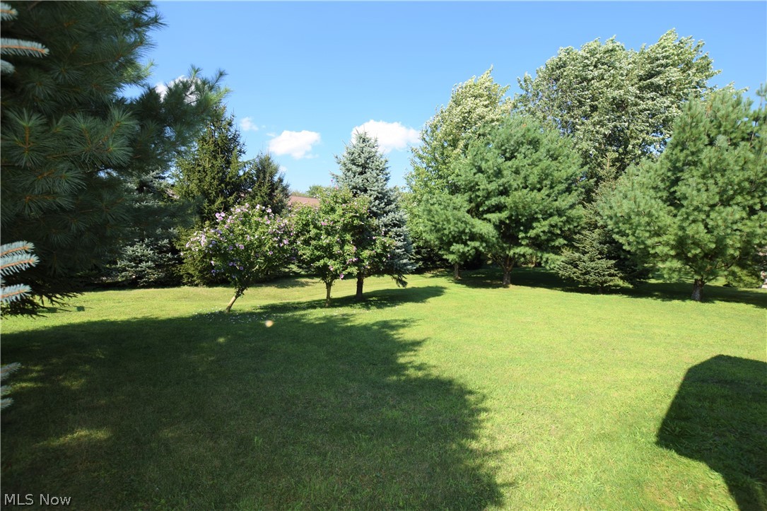 Orchard Grove 01 - Residential