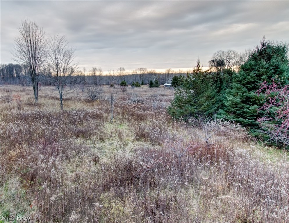 Connecticut Western Reserve - Land