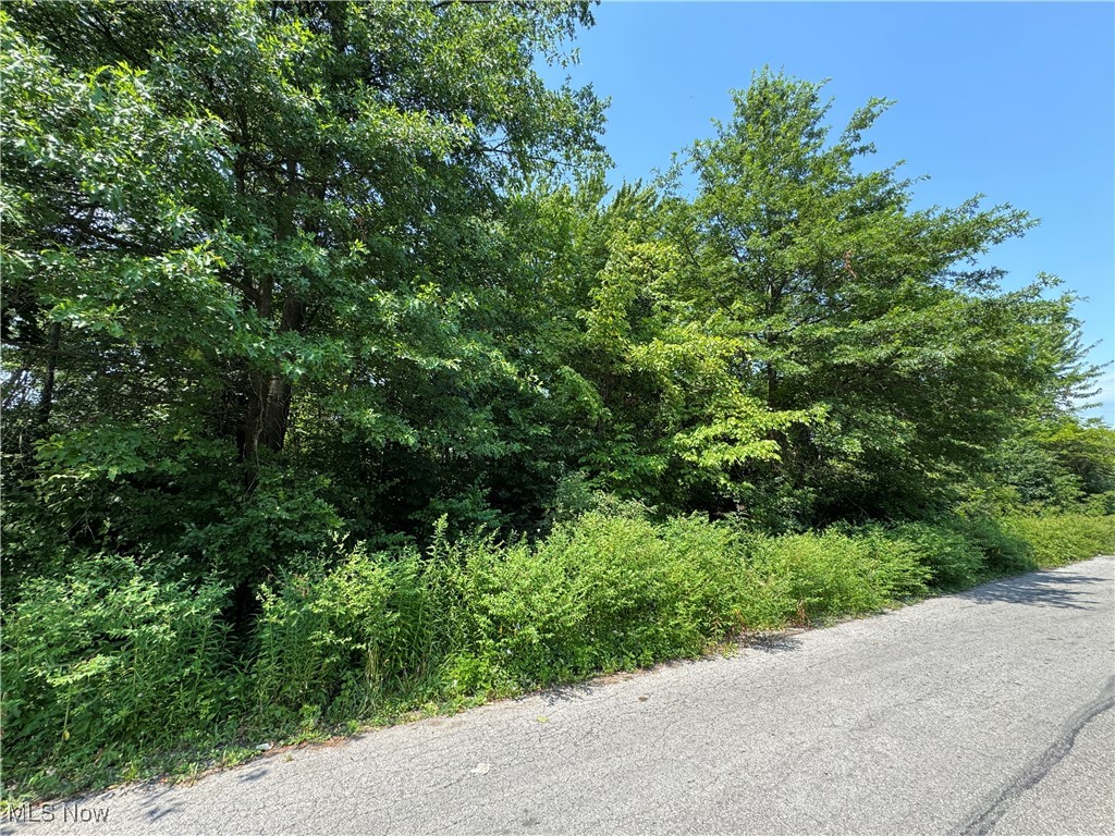 Looking for the perfect place to build your new home, this is it! Located in Clearview school district on a quiet street this almost half acre property is waiting for you! This lot is zoned multi-family. Buyer is responsible for all due diligence.