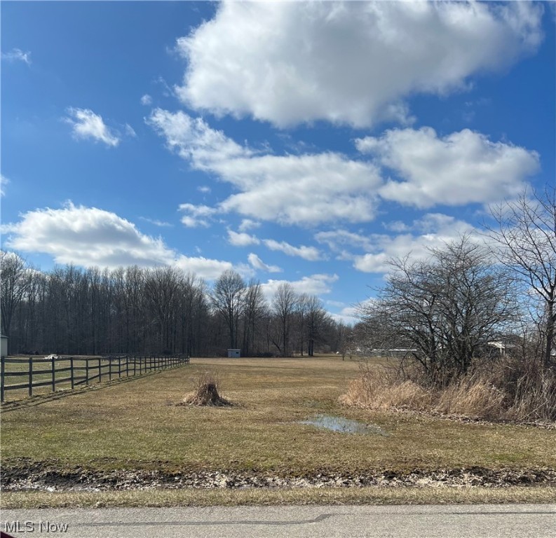 Dreaming of building? Wishing you could find farm land? Income investment? Why buy when you can build on this lot that is half wooded for privacy but opens up in the back! Almost 12 acres sit here waiting for you to build your dream home. The property has a well but access to tap into city water if you choose. Electric and cable are also available to tap into. The back used to be a cow pasture with so much potential to make it anything you would like. Call your favorite realtor or reach out to me with any questions you have so we can secure this lot for you. Saying goes....buy dirt, and here it is!!