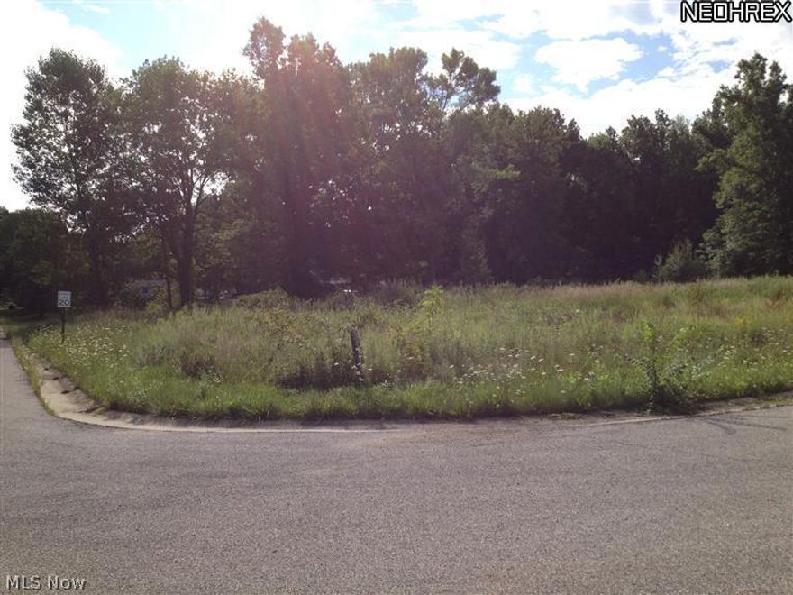 Awesome buildable lots in newer Development with underground utilities and other fine homes! 9 lots to select from! Some lots are cleared and some lots have trees, select your own lot! Rectangular lots, cul de sac lots and corner lot to select from! Trying to see if there is minimum building square foot restrictions or an active HOA.