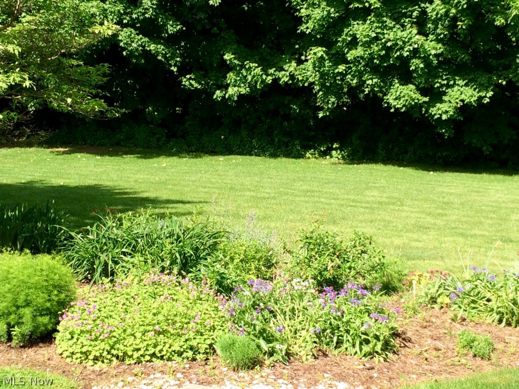 Sussex Village Green - Residential