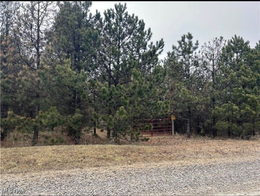 Ridgeview Road, Chandlersville, Ohio image 3