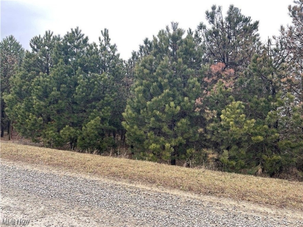 Ridgeview Road, Chandlersville, Ohio image 5