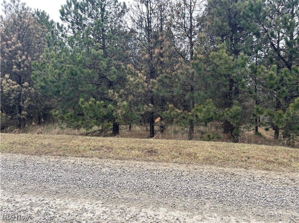 Ridgeview Road, Chandlersville, Ohio image 4