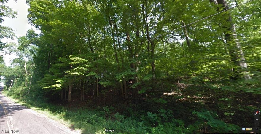 Located in northeastern Wayne County, this 45-Acre (mostly wooded) paradise is ideal for hunting and recreation, and has a GREAT BUILDING SITE!  It is home to almost every species of wildlife found in Wayne County and the animal & bird-watching opportunity is amazing. For those hunters, this property has some of the best hunting around if you want trophy deer and large flocks of turkey.  This wildlife habitat also includes red fox, rabbit, beaver, mink, and all kinds of birds including blue herrings. This private paradise is an ideal location and is ready for you to build your dream home. And, the property is loaded with various stages of hardwoods and other marketable timber. Soil test has been completed and is acceptable for septic. Distance to: Canal Fulton (6 miles), Orrville (11 miles), Massillon (14 miles), North Canton (16 miles), Montrose (18 miles), Wooster (20 miles), Medina (21 miles), Akron (21 miles), and Cleveland (45 miles).