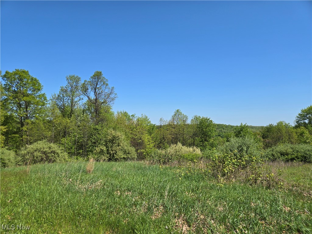 3834 Tabor Ridge Road, Mineral City, Ohio image 2