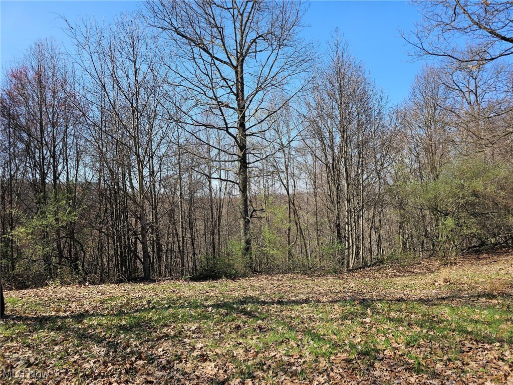 3834 Tabor Ridge Road, Mineral City, Ohio image 2