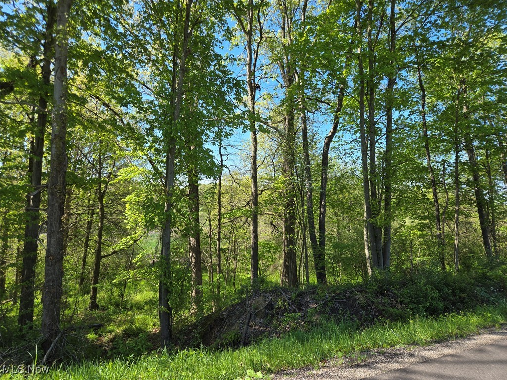3834 Tabor Ridge Road, Mineral City, Ohio image 12