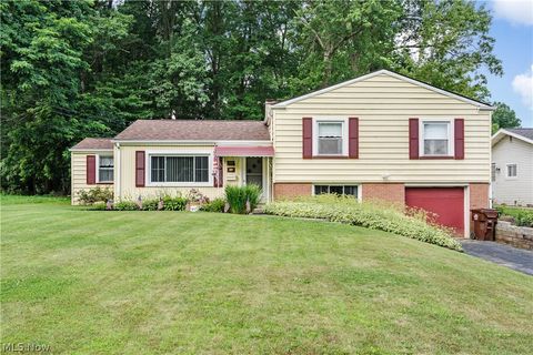 Homes For Sale - 4220 Mill Trace Road<br/> Youngstown, OH 44511