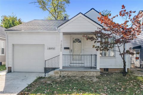 18805 Parkmount Avenue, Cleveland, OH 44135 - #: 5163236