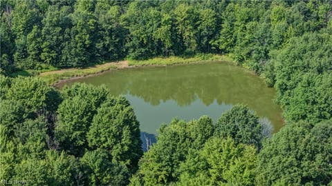 Tiny photo for Norton Road, Garrettsville, OH 44231 (MLS # 5239499)