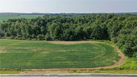 Tiny photo for Norton Road, Garrettsville, OH 44231 (MLS # 5239499)